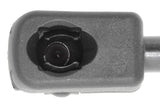 Vaico Trunk Lift Gas Strut - Honda 74820S5SE01-VAI