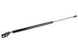 Trunk Lift Gas Strut - Hyundai | 8178025200DS