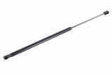 Trunk Lift Gas Strut - Kia | 817701F010