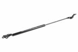 Trunk Lift Gas Strut - Toyota | 6895005925