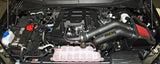 AEM AEM 2015 Ford F-150 3.5L V8 Cold Air Intake System 21-8128DC