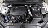 AEM AEM C.A.S. 19-20 Hyundai Veloster L4-1.6L F/I Cold Air Intake 21-872C