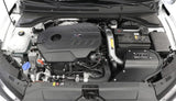 AEM AEM C.A.S 19-20 Hyundai Veloster N 2.0T F/I Cold Air Intake System 21-873C