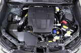 AEM AEM C.A.S 18-19 Subaru Forester 2.5L F/I Cold Air Intake System 21-874C