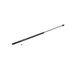 Racingline - Gas Strut for Hood/Hood Prop - VW Golf Mk8 | VWR810002