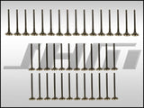 JHM - HD Valve Set (JHM), Intake and Exhaust, Heavy Duty, Coated for B6 - B7 S4, C6 A6 and C5 allroad w chain 4.2L 40v | JHM-B6B7S4VS