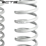CTS Turbo CTS Turbo Lowering Spring Set - VW / MK8 / GTI CTS-LS-009