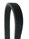 Dual-Sided Multi-V Belt - Cadillac | 12578061