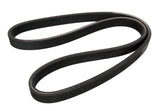 Continental Dual-Sided Multi-V Belt - Porsche 9A110221700-CON