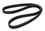 Continental Dual-Sided Multi-V Belt - Ford BT4Z8620F-CON