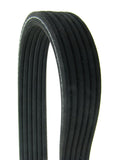 Dual-Sided Multi-V Belt | D4060973