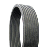 Dual-Sided Multi-V Belt - Ford | BC3Z8620C
