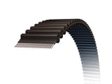 Continental Positive Drive V-Belt D800H100-CON