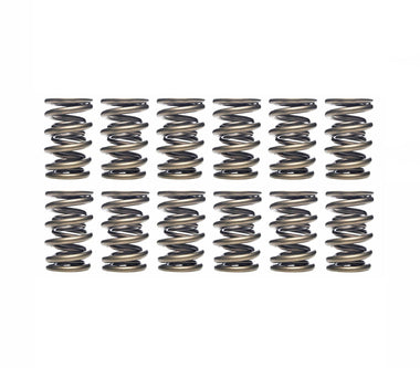 Ferrea 95lbs Dual Valve Spring Kit -VW 12V VR6 | S10062-X12