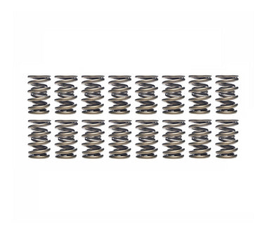 Ferrea 80lbs Exhaust Dual Valve Spring Kit - VW/Audi / 4.2T 40V | S10056-X16