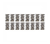 Ferrea 80lbs Exhaust Dual Valve Spring Kit - VW/Audi / 4.2T 40V | S10056-X16