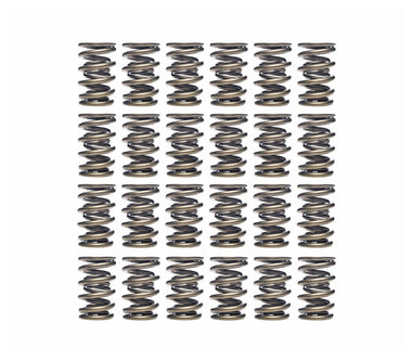 Ferrea 75lbs Dual Valve Spring Kit - VW 24V VR6 3.2L | S10148-X24