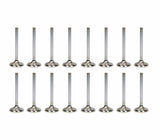 Ferrea Competition Plus Exhaust Valve Kit 30.9mm +1mm - VW/Audi 4.2T 40V | F1555P-X16