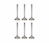 Ferrea Competition Plus Long Exhaust Valve Kit 27mm STD - VW 2.8L 24V VR6 | F1988P-X6