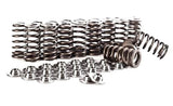 IE 2.5L 5 Cylinder Valve Spring | Retainer Kit | IEVTVB2