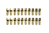 Aodhan Aodhan Lug Bolts - 14x1.25 - Conical - Gold - Set of 20 AHLB5514125GD
