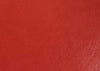 Hood Bra - Red - With notch (stock) / No Logo