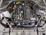 Vargas Turbo Technologies Vargas Turbo Technologies - BMW G2X Carbon Fiber Strut Braces