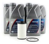 DSG Transmission Filter Kit with Pentosin Fluid DQ250