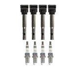 Ignition Service Kit - VW/Audi 2.0T FSI & TSI