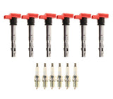 UroTuning Kits Ignition Service Kit - Audi 3.2L V6 ISK-32LV6