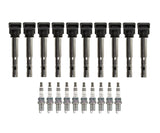 Ignition Service Kit - Audi / 5.2L V10 R8