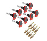 Ignition Service Kit - Audi / 4.2L V8 / B6 / B7 / S4