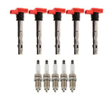 UroTuning Kits Ignition Service Kit - VW/Audi / Late 2.5L / Mk5 Jetta / Mk6 / Golf / Jetta / Beetle / Passat ISK-LATE25L