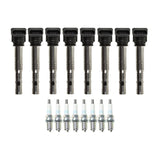 Ignition Service Kit - VW/Audi / 4.2L V8 / C6 A6 / D3 / D4 / A8 / B8 S5 / 4L Q7 / Touareg 2