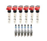 Ignition Service Kit - Audi / Late V6 30V