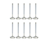 Ferrea 33.9mm STD Competition Plus Intake Valve Kit - Audi 2.5T / RS3 / TT RS | F2419P-X10