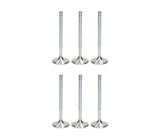 Ferrea Competition Plus Short Intake Valve Kit 31mm STD - VW 2.8L 24V VR6 | F1985P-X6