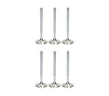 Ferrea Competition Plus Short Intake Valve Kit 33.2mm STD - VW/Audi  VR6 3.2L & 3.6L 24V | F2293P-X6