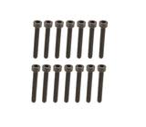 VW/Audi Crankshaft Main Bolt Set - VW/Audi VR6 12v & 24v / 2.8L / 3.2L / 3.6L | N90365801-KT