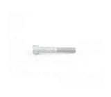 VW/Audi Allen Screw (M10x65) - VW/Audi | N0147356