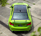 RKP RKP F87 M2 Carbon Roof