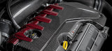 Eventuri Eventuri Engine Cover - Audi / RS3 / TTRS EVE-ST38V8S-CF-ENG