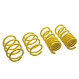 ST Suspensions Lowering Springs - Ford Mustang; V8 | 28230052