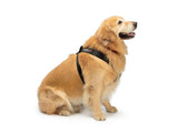 WeatherTech Travel Safe Harness (Chest 34-41in. / 60-95 lbs.) - Black | 84PH3441BK