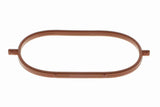Vaico Braking System Vacuum Hose - VW/Audi 076145100-VAI