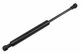 Trunk Gas Strut - VW/Audi | 4B5827552D