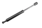 Trunk Gas Strut - VW/Audi | 8G0827552C