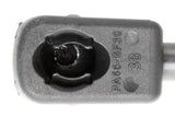 Vaico Trunk Gas Strut - VW/Audi 8P4827552C-VAI