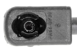 Vaico Trunk Gas Strut - VW/Audi 5N0827550E-VAI