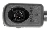 Vaico Hood Gas Strut - VW/Audi 4G8823359A-VAI